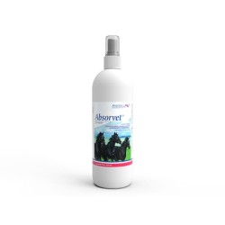 Absorvet