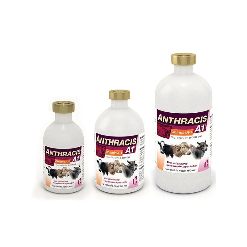 Anthracis A1 Chinoin Ántrax