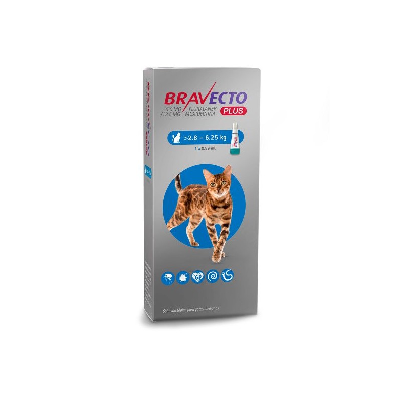 Bravecto Plus Pipeta Gatos