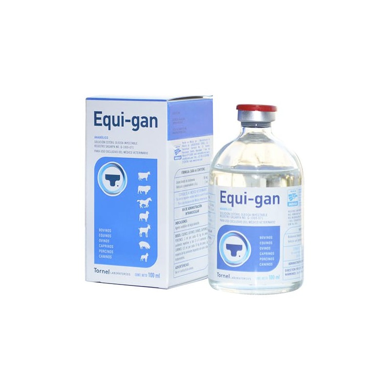Equi-gan