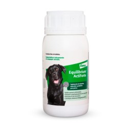 Equilibrium ActiForte