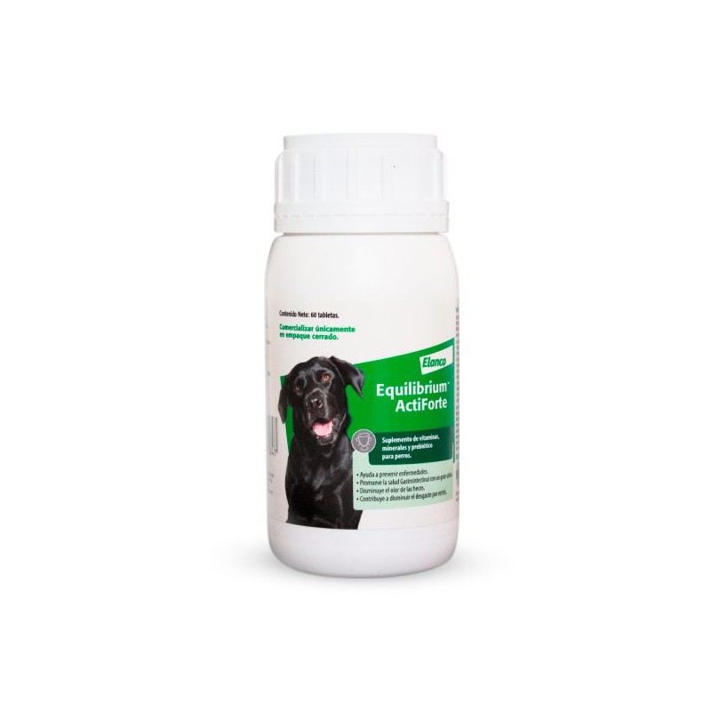 Equilibrium ActiForte
