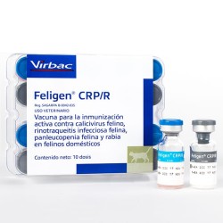 Feligen C.R.P /R
