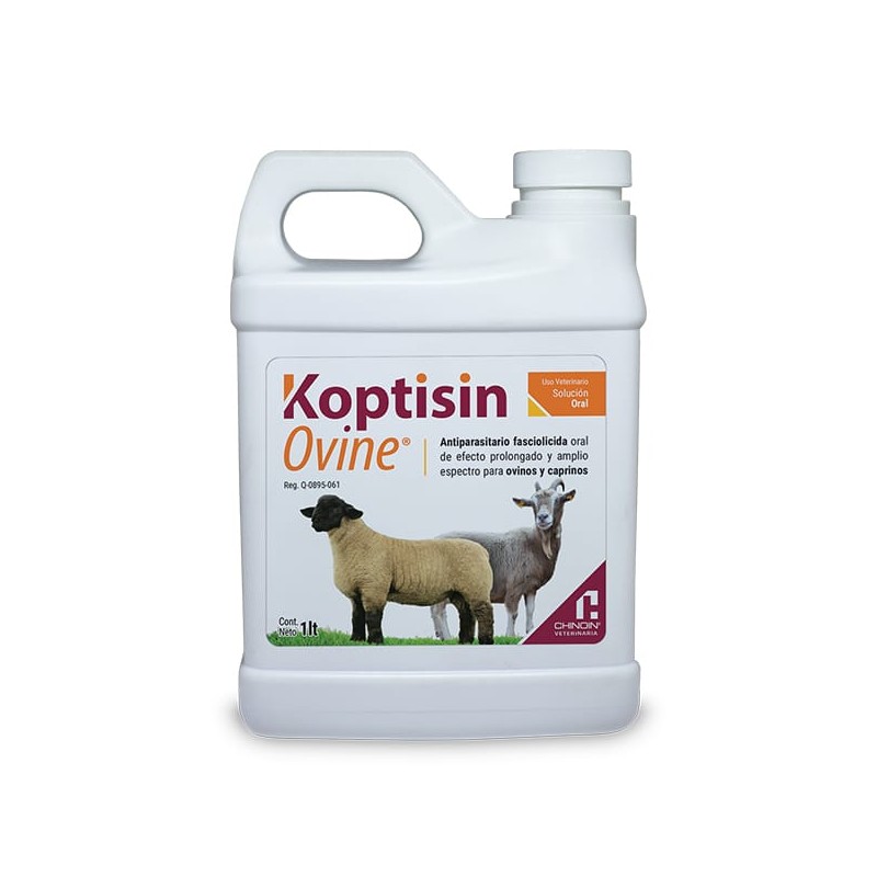 Koptisin Ovine