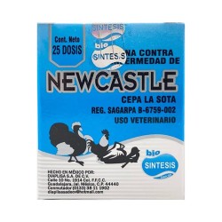 Newcastle La Sota