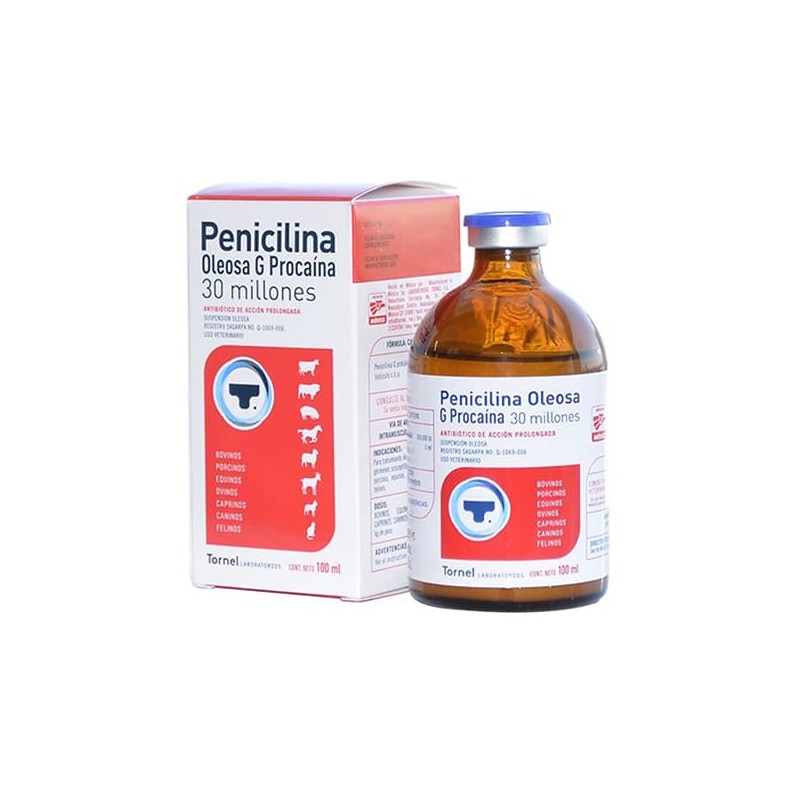 Penicilina G Procaina Oleosa