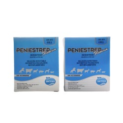 Peniestrep Flunixin
