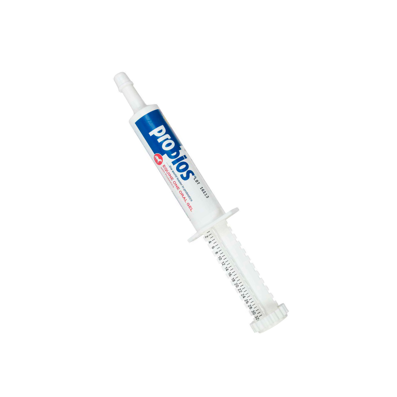 Probios Equine One Gel Oral