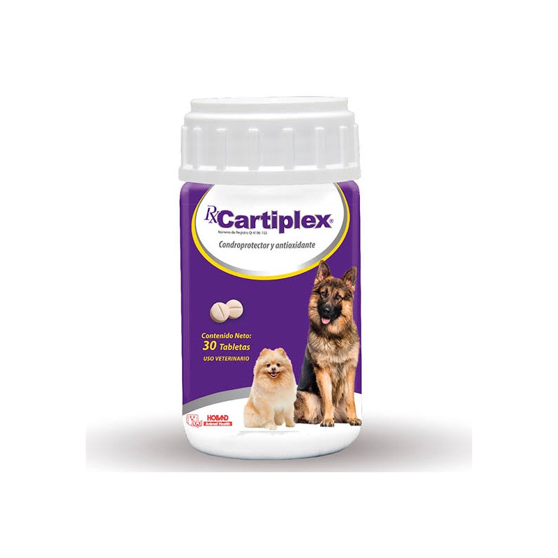 Rx Cartiplex Holland