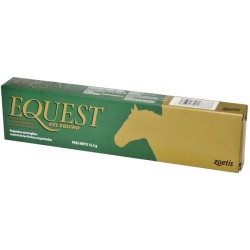 Simple Equest