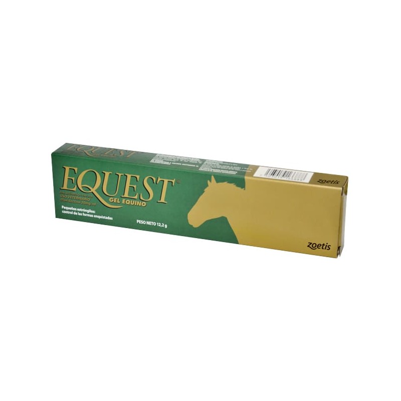 Simple Equest