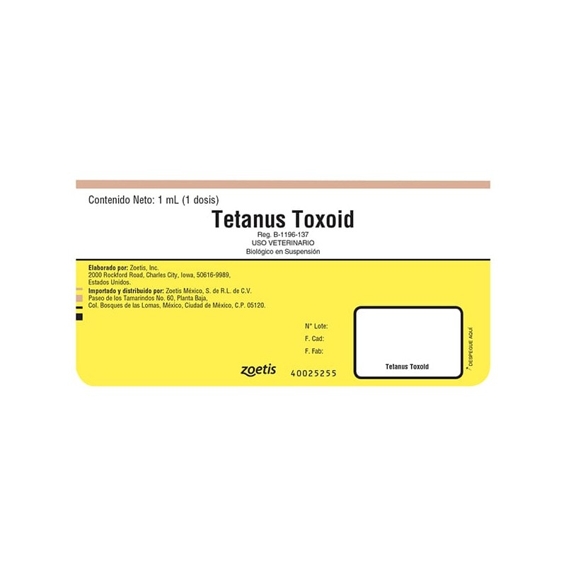 Tetanus Toxoid