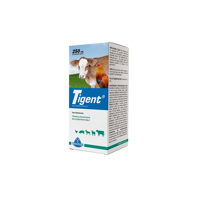 Tigent